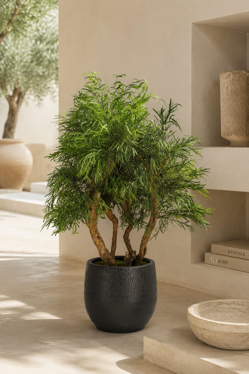 Oliva Verde | Árbol Decorativo