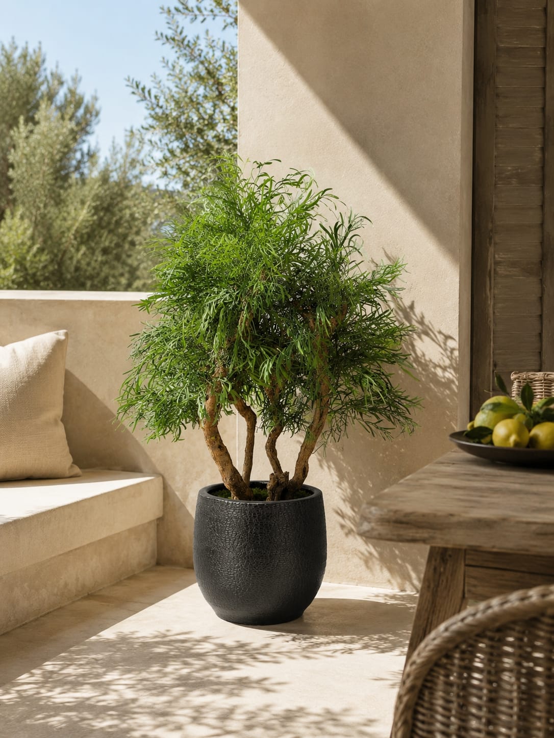 Oliva Verde | Árbol Decorativo