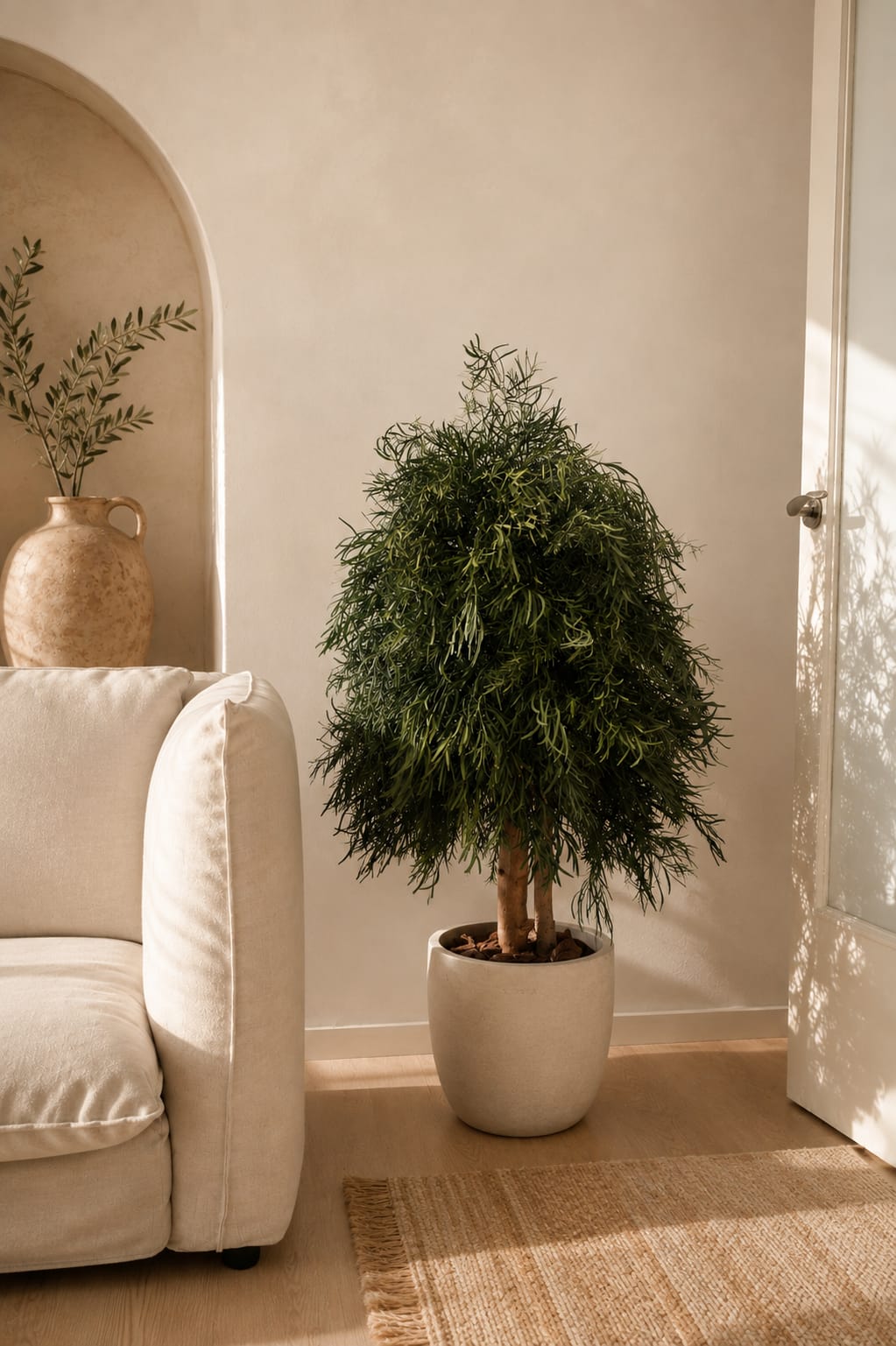Árbol Siena Preservado